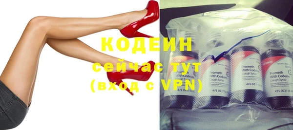 apvp Иннополис